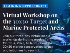 EJN Virtual Media Workshop on the 30×30 Target and Marine Protected Areas 2025