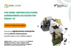 Home-Grown Solutions Agribusiness Accelerator (HGSA-A) 2025 home-grown-solutions-agribusiness-accelerator-(hgsa-a)-2025