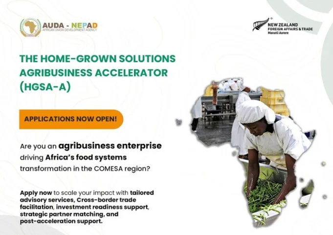 home-grown-solutions-agribusiness-accelerator-(hgsa-a)-2025