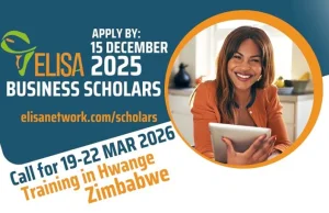 ELISA Business Scholars Program 2026 elisa-business-scholars-program-2026