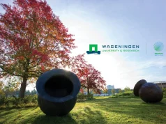 Wageningen Social & Economic Research (WSER) Traineeship 2026 wageningen-social-&-economic-research-(wser)-traineeship-2026