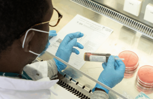 ITM sub-Saharan Africa Health Research and Innovation (SAHRI) Fellowship Program 2026-2029 (Fully-funded) itm-sub-saharan-africa-health-research-and-innovation-(sahri)-fellowship-program-2026-2029-(fully-funded)