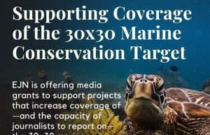 EJN Media Grants to Support Coverage of Countries’ Progress Toward the 30×30 Marine Conservation Target 2026 ($10,000 grant)