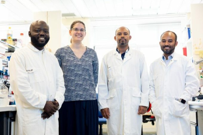 arturo-falaschi-postdoctoral-fellowships 2026-(funded)