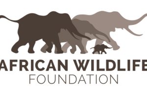 African Wildlife Foundation (AWF)-Wall Policy Fellowship 2026 african-wildlife-foundation-(awf)-wall-policy-fellowship-2026