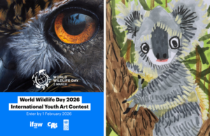 IFAW World Wildlife Day International Youth Art Contest 2026 ifaw-world-wildlife-day international-youth-art-contest 2026