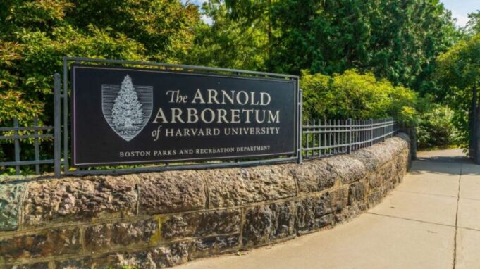 darin-butz-research-internship-program-2026-at-the-arnold-arboretum-of-harvard-university-($6,250-stipend)