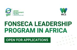 Call for Nominations: Fonseca Leadership Program in Africa 2026 call-for-nominations:-fonseca-leadership-program-in-africa-2026