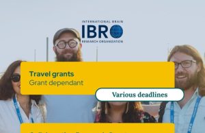International Brain Research Organization (IBRO) Collaborative Research Grants 2026 (up to $6,000) international-brain-research-organization-(ibro)-collaborative-research-grants-2026-(up-to-$6,000)