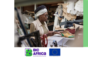 BIC Africa Online Training Programme 2026 for Women Entrepreneurs from Tanzania bic-africa-online-training-programme-2026-for-women-entrepreneurs-from-tanzania