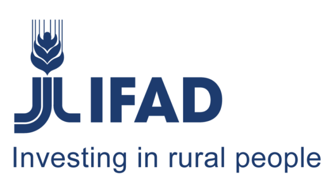 international-fund-for-agricultural-development-(ifad)-internship-programme-2026