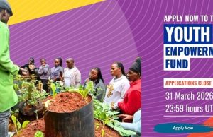 GYM Youth Empowerment Fund (YEF) 2026 gym-youth-empowerment-fund-(yef)-2026