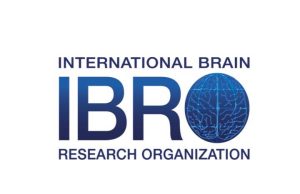 IBRO Neuroscience Training Grants 2026 ibro-neuroscience-training-grants-2026