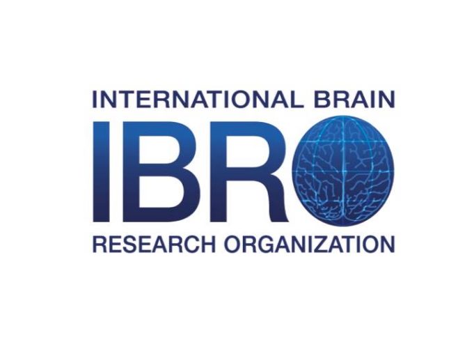ibro-neuroscience-training-grants-2026