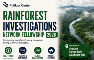 Rainforest Investigation Network Fellowship 2026/2027 (Funded) rainforest-investigation-network-fellowship-2026/2027-(funded)