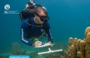UNESCO MAB Young Scientists Awards 2026 (up to $5,000) unesco-mab-young-scientists-awards-2026-(up-to-$5,000)