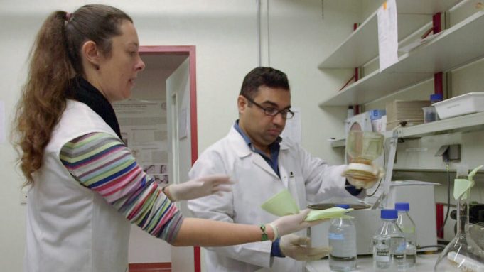 twas-cui-postdoctoral-fellowship-programme-2026-(funded)