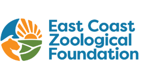 ECZF Growth, Engagement and Resources (GEAR) Grant 2026 eczf-growth,-engagement-and-resources-(gear)-grant-2026