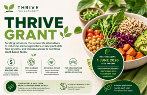 Call for Proposals: Thrive Grant 2026 (up to $30,000) call-for-proposals:-thrive-grant-2026-(up-to-$30,000)