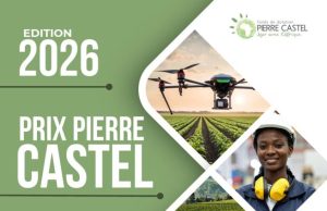 Pierre Castel Prize 2026 (€25,000 prize) pierre-castel-prize-2026-(e25,000-prize)