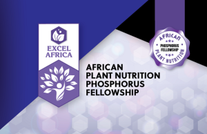 APNI African Plant Nutrition Phosphorus Fellowship 2026 (up to $5,000) apni-african-plant-nutrition-phosphorus-fellowship-2026-(up-to-$5,000)