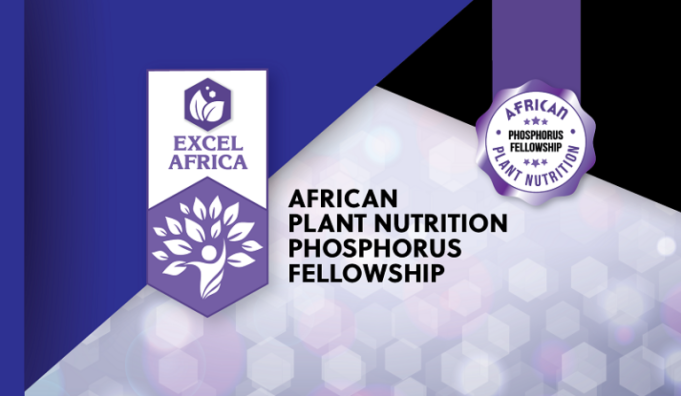 apni-african-plant-nutrition-phosphorus-fellowship-2026-(up-to-$5,000)