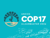 Call for Applications: UNCCD COP17 Women Delegates Negotiation Training 2026 call-for-applications:-unccd-cop17-women-delegates-negotiation-training-2026