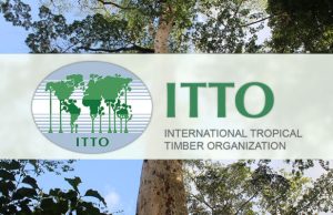 International Tropical Timber Organisation (ITTO) Fellowship Programme 2026 (up to $10,000) international-tropical-timber-organisation-(itto) fellowship-programme-2026-(up-to-$10,000)
