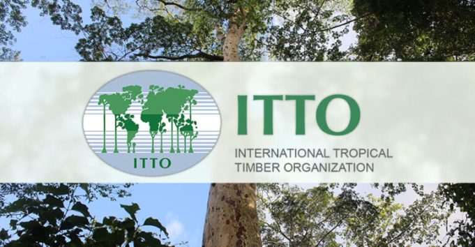 international-tropical-timber-organisation-(itto) fellowship-programme-2026-(up-to-$10,000) international-tropical-timber-organisation-(itto) fellowship-programme-2026-(up-to-$10,000)