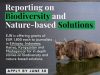 EJN Biodiversity and Nature-based Solutions Story Grants 2026 ejn-biodiversity-and-nature-based-solutions-story-grants-2026