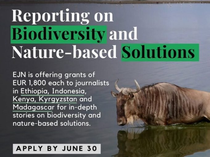 ejn-biodiversity-and-nature-based-solutions-story-grants-2026 ejn-biodiversity-and-nature-based-solutions-story-grants-2026