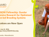 Gender Responsive Research for Optimized Women (GROW) Fellowship 2026 gender-responsive-research-for-optimized-women-(grow)-fellowship-2026